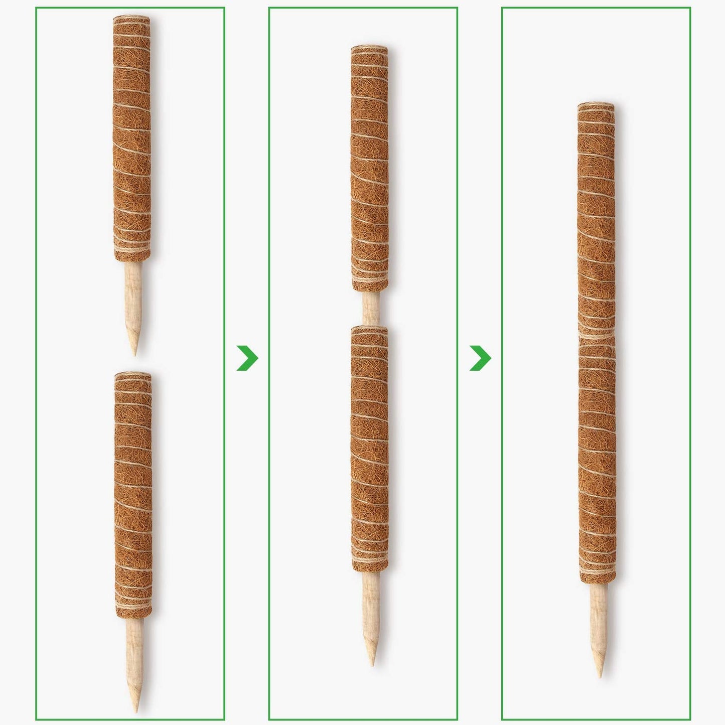 Moss Pole, Augshy 48 Inch Moss Poles - 4Pcs 12 Inch Coir Totem Poles Moss Climbing Sticks for Indoor Creepers Plant Support Extension
