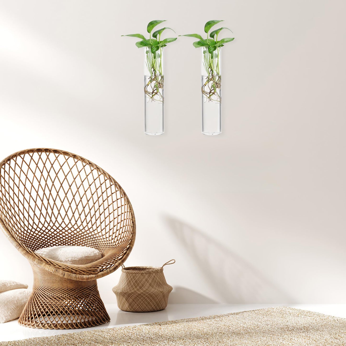 iplusmile 2pcs Large Glass Tube Wall Vases for Hydroponic Plant Propagation, Hanging Glass Terrarium Plants Holder, Modern Wall-Mounted Flower Vases for Indoor Home Décor