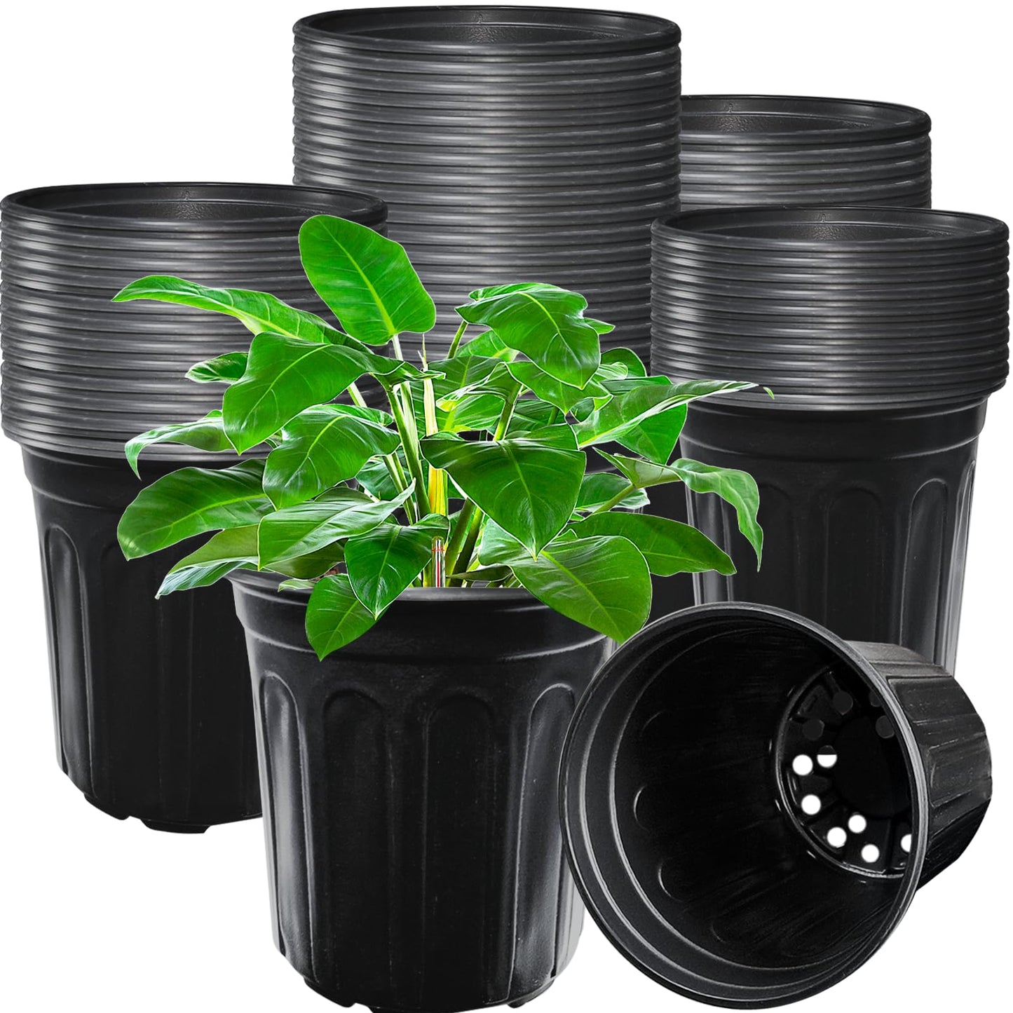 Jgalnim 60 Pack 1 Gallon Nursery Plant Pots,Thickened Flexible Plastic Seedling Pot with Holes,Flower Plant Container for Succulents,Cuttings,Transplanting,Home Garden(Black)