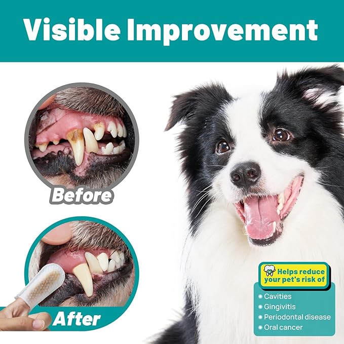 Teeth Cleaning Wipes for Dogs & Cats, Dog Finger Toothbrush Wipes, Dog Dental Care Finger Wipes, Dog Tooth Brushing Kit, Remove Plaque & Tartar Buildup, Fresh Breath (50 PCS, Honey)