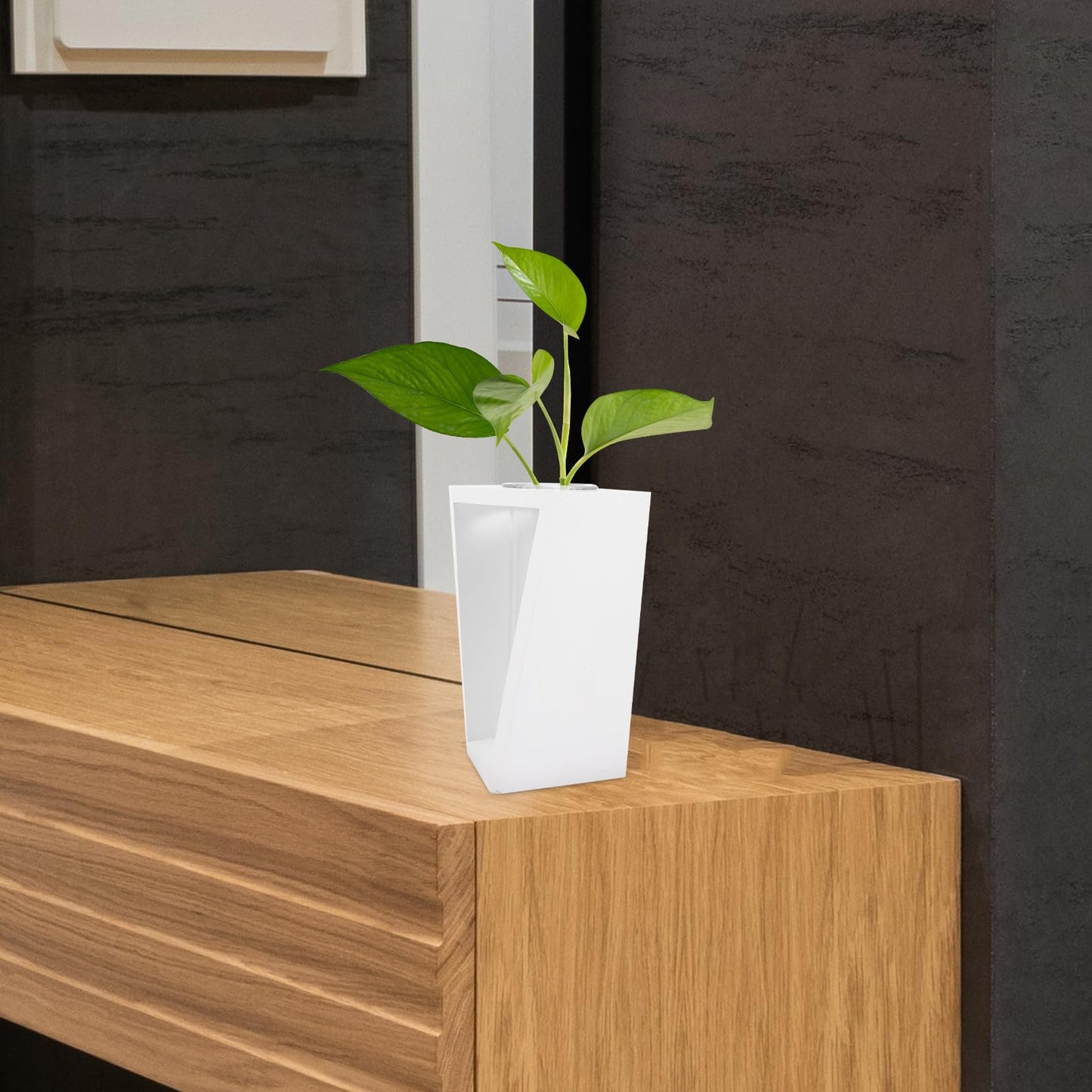 BESPORTBLE Hydroponic Plant Vase with White Wooden Rack, Glass Test Tube Propagation Station for Indoor Wall Garden, Small Terrarium Kit for Home and Office Décor