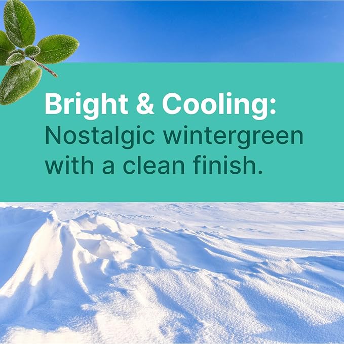 Wintergreen Xylitol Candy Chips - SNØ 1LB Bag - Handcrafted w/ONLY 2 Ingredients | Diabetic-friendly, Non-GMO, Vegan, Keto, GF & Kosher | Purest sugar-free candy in the world!