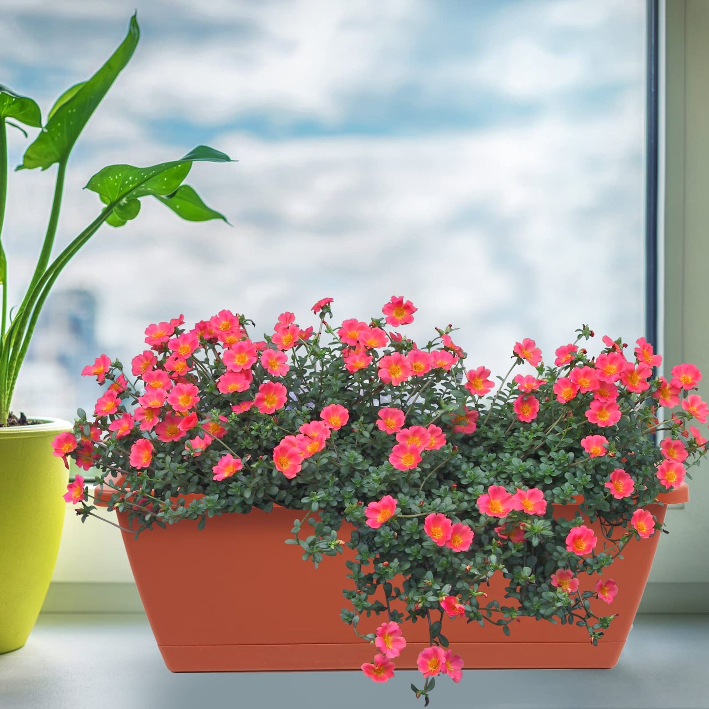 8pcs Window Box Planter,17 Inches Flower Window Boxes, Rectangle Planters Box with Drainage Holes and Trays, Plastic Vegetable Planters for Windowsill Patio Garden Home Decor Porch Yard (Red)
