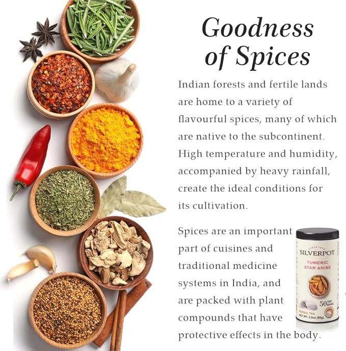 Silverpot Turmeric and Star Anise - 50 Round Tea Bags | Golden Spice, 100% Natural | Caffeine Free | Reusable Tin