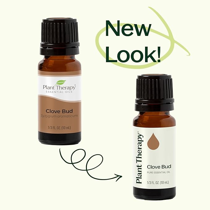 Plant Therapy Clove Bud Essential Oil 100% Pure, Undiluted, Natural Aromatherapy, Therapeutic Grade 10 mL (1/3 oz)