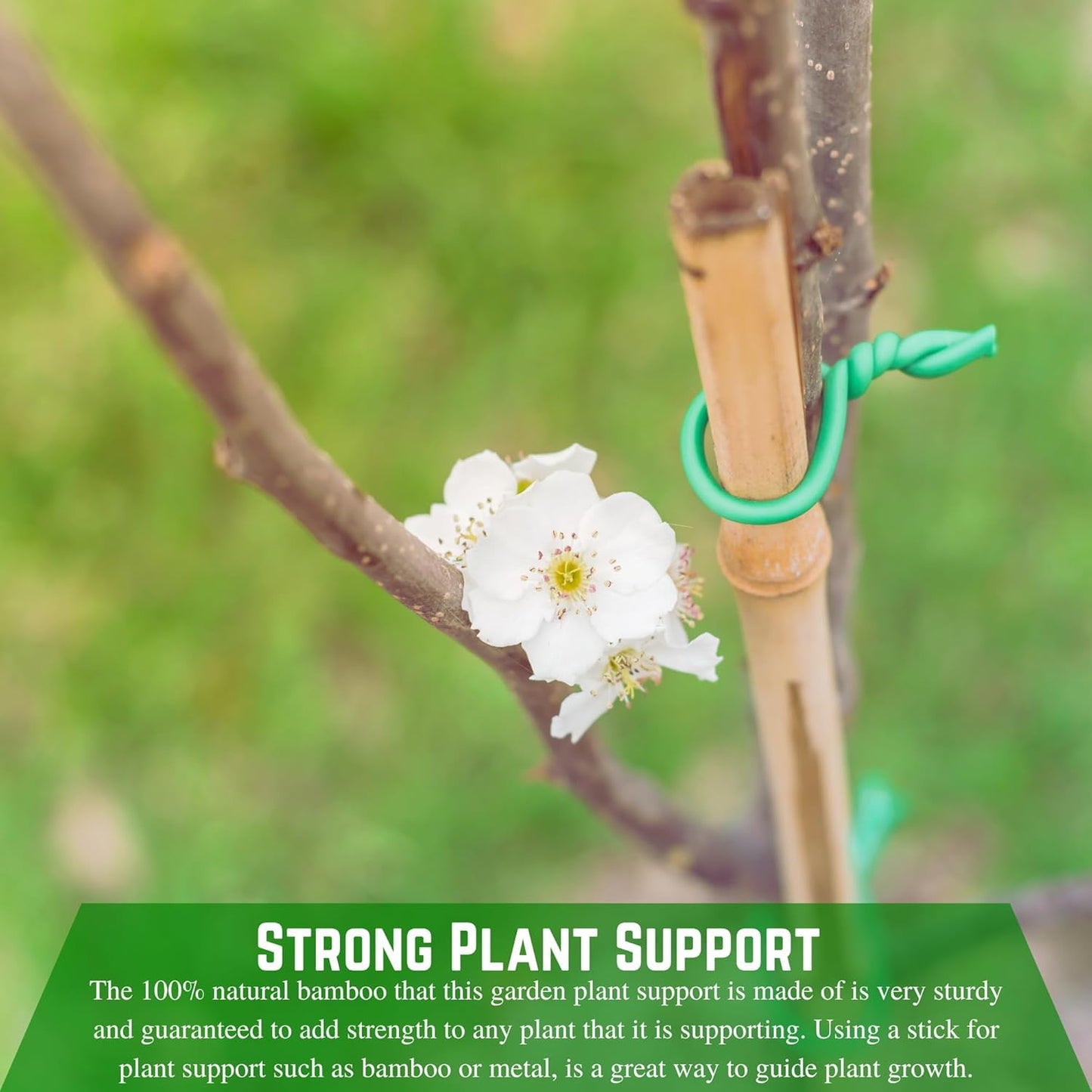 Farm Plastic Supply - Bamboo Garden Stakes - Bambo Sticks, Bamboo Plant Stakes for Outdoor Plants, Plant Support Stakes for Indoor Plants (4 Foot, 10)