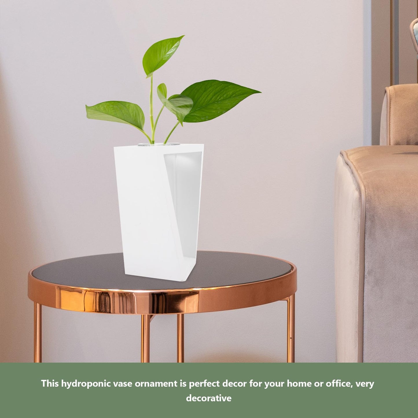 Healifty Glass Test Tube Vase with White Wooden Rack, Hydroponic Plant Propagation Station for Home Décor, Succulent Terrarium Planter for Desk and Tabletop Display