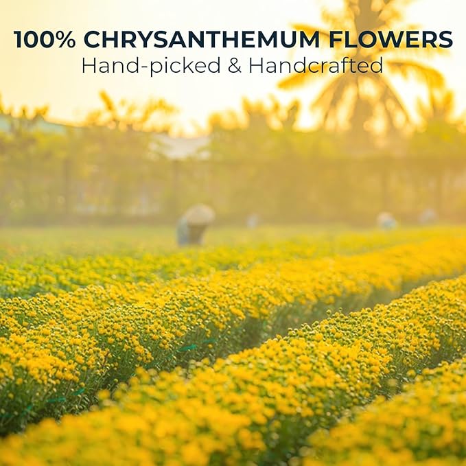 INJOY YOUR VITALGRI:N Vietnamese Chrysanthemum Tea - 55 Count (+5 Tea Bags) Bamboo Tong Included - 4.23 oz, Re-Steep Chrysanthemum Floral Scent Herbal Tea for Detox, Sleep, Relax Support, Daisy