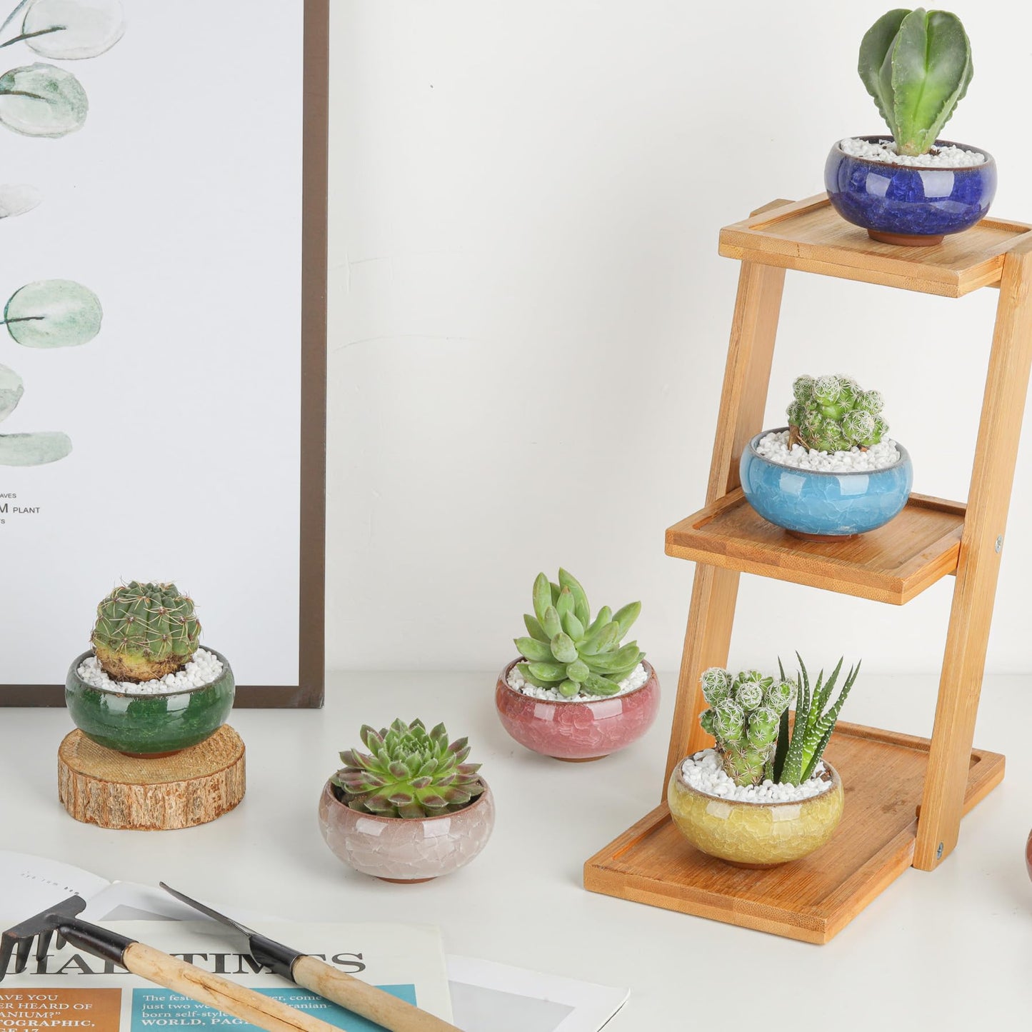 T4U 2.5 Inch Small Ceramic Succulent Planter Pot with Drainage Hole Set of 6, Ice Crack Glaze Plant Container for Cactus, Gardening Plant Gifts for Women Mom Aunt Home Office Decor