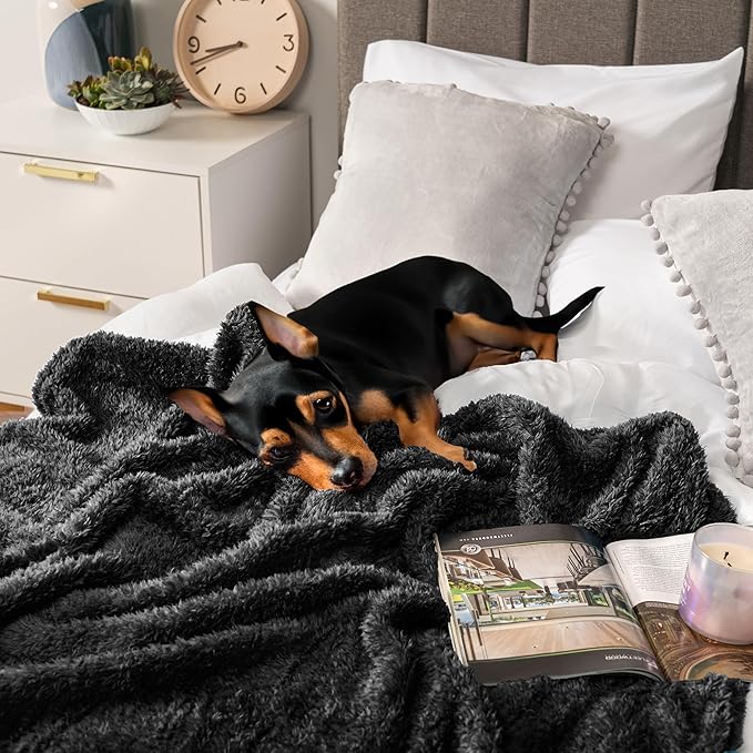 Pavilia Sherpa Bed Blanket Queen Size, Black Plush Soft Cozy Fluffy Lightweight Microfiber Fuzzy All Season Blanket, 90x90