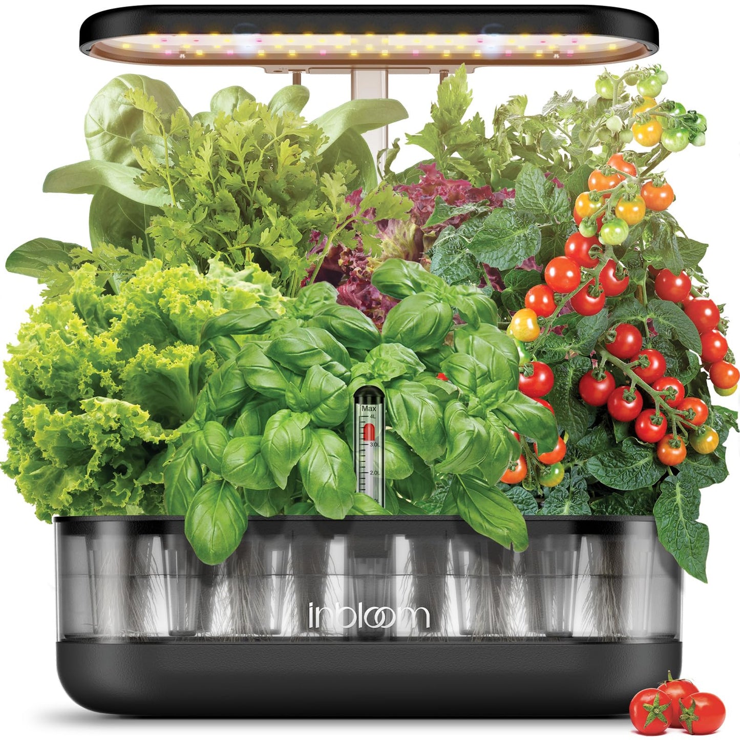 inbloom 12 Pods Hydroponics Growing System Kit, Herb Garden Planter Indoor Kit, Indoor Gardening Hydroponics Growing System with 4.2L Water Pump, Height Adjustable, Gifts for Woman, Transparent Black