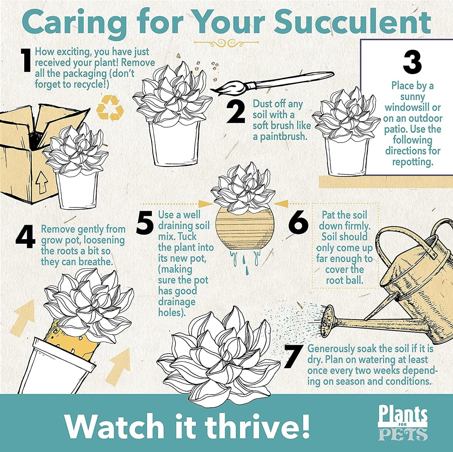 Grafted Cactus Plants Live in White Plant Pots (3 PK), Live Cactus Plant in Cactus Soil Potting Mix, Live Mini Cactus Succulents Plants Live Cacti, Cactus Pots with Live Succulents by Plants for Pets