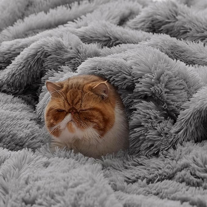 Bedsure GentleSoft Fluffy Grey Throw Blanket, Grey Decor Cozy Gifts for Women Men, Soft Sherpa Fleece Fuzzy Plush Thick Warm Minky Faux Fur Throw Blanket for Couch Bed Sofa, Gray Gifts for Dad, 50x60