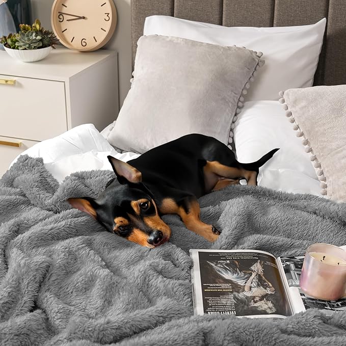 PAVILIA Sherpa Throw Blanket for Couch Sofa, Grey Fluffy Warm Plush Blanket for Twin Bed, Cozy Super Soft Lightweight Throw, Fuzzy Decorative Blanket, All Season Home, 60x80