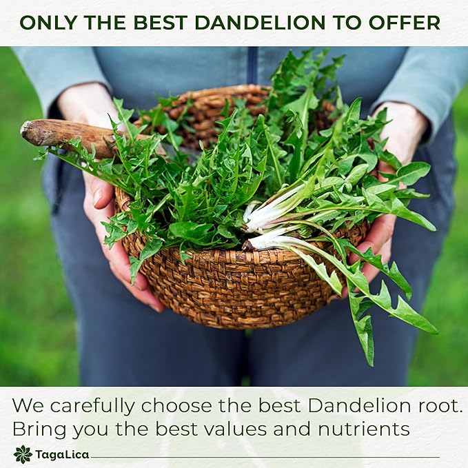 Tagalica Premium Dandelion Root Tea Bags - 25 Count, 100% Natural & Pure, Eco-Conscious, Herbal Tea, No Sugar, No Caffeine, No Gluten, Vegan
