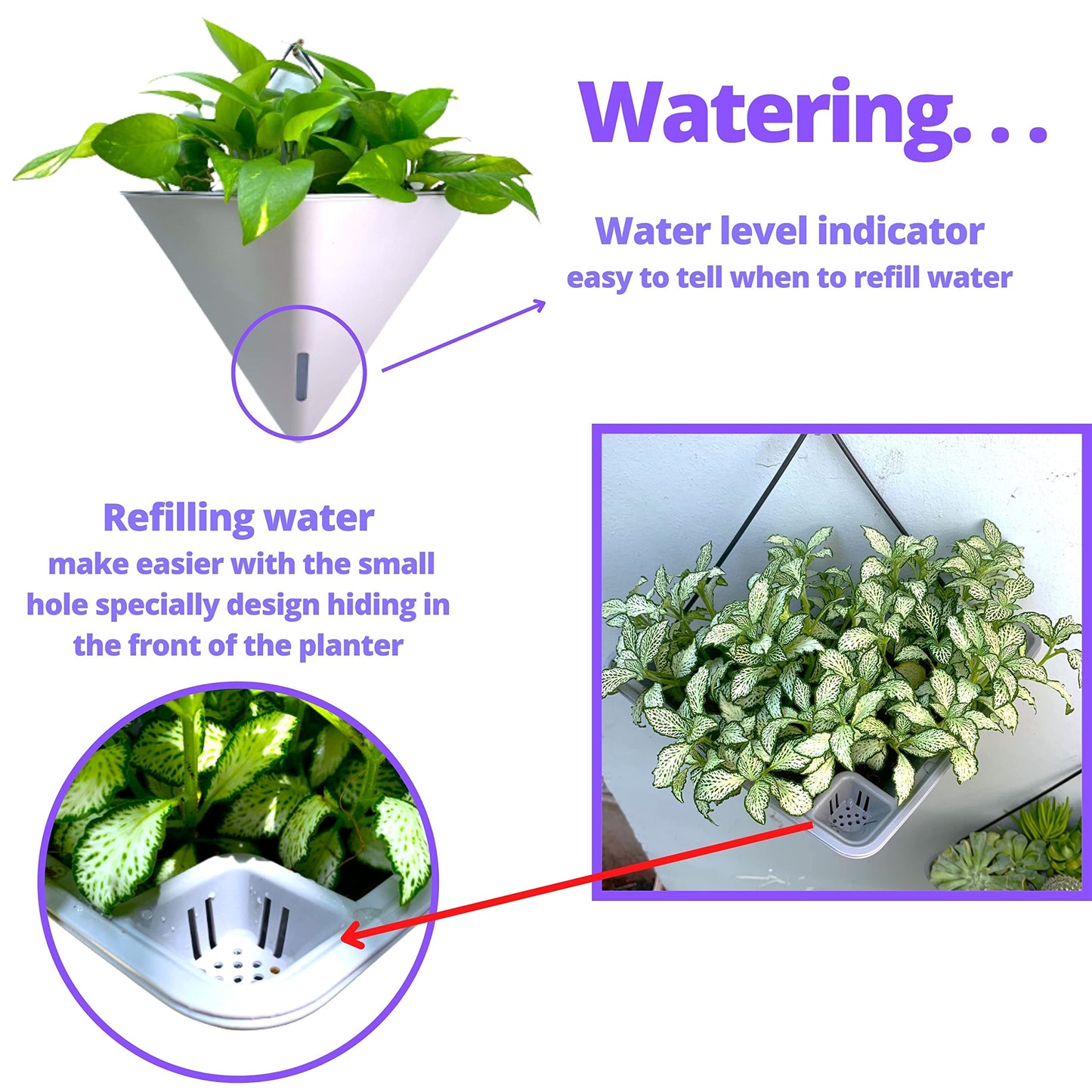 LaLaGreen Bundle - 12" x 6 Pack Gray + 12" x 2 Pack White Large Self Watering White Geometric Hanging Flower Vase Vessel with Metal Hanger, Modern Stylish Wall Mounted Succulent Pot Holder Decor