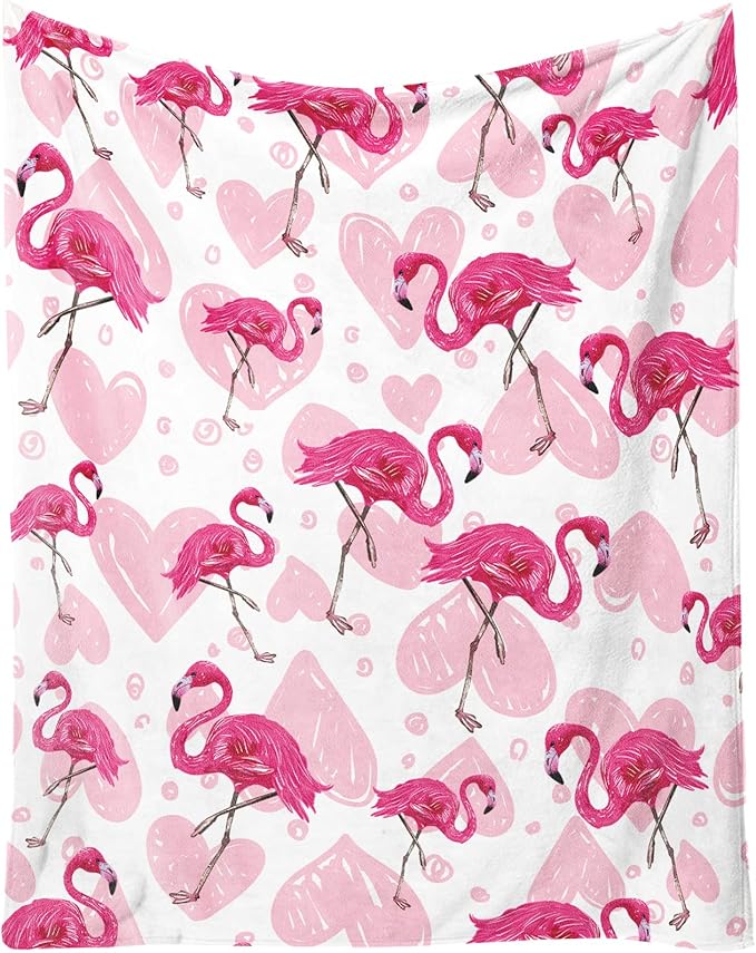 Flamingo Blanket Gifts - 60 x 80 Inches Cute Flamingo Throw for Women - Light Pink Flurry Soft Plush Blankets for Living Room