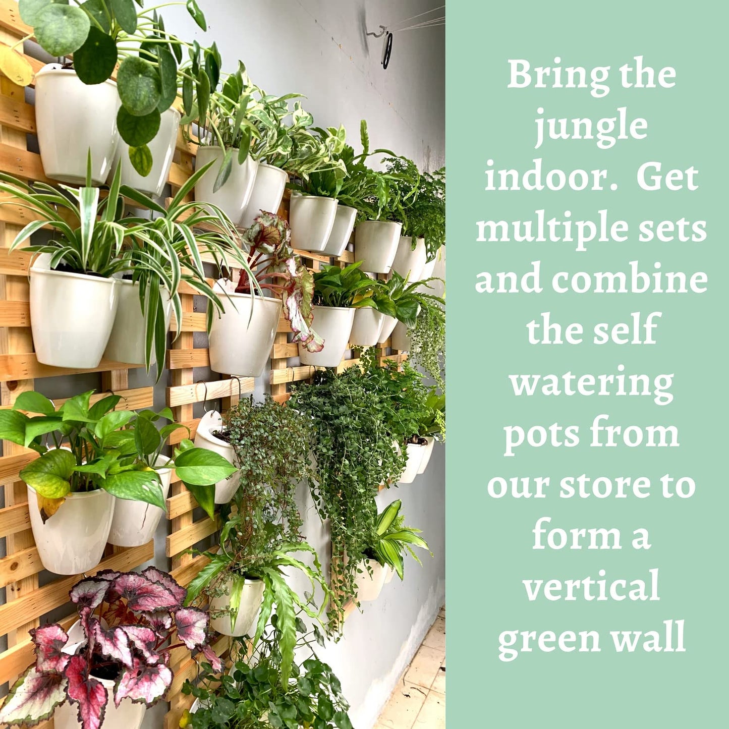 ShopLaLa Wooden Wall Planter - 2 Pack Wall Hanging Planters for Indoor Plants Ladder Wall Mount Natural Wood Holder Flower Pots Vertical Living Balcony Unique Large Green Plant Decor 23.6" (60cm)