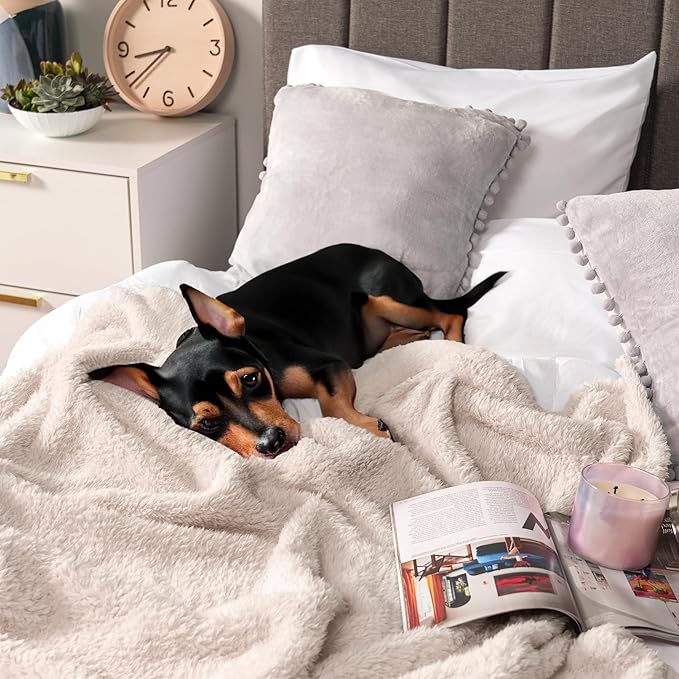 PAVILIA Sherpa Bed Blanket King Size, Cream Beige Plush Soft Cozy Blanket for Bed, Fluffy Lightweight Microfiber, Fuzzy All Season Blanket, 90x108 King