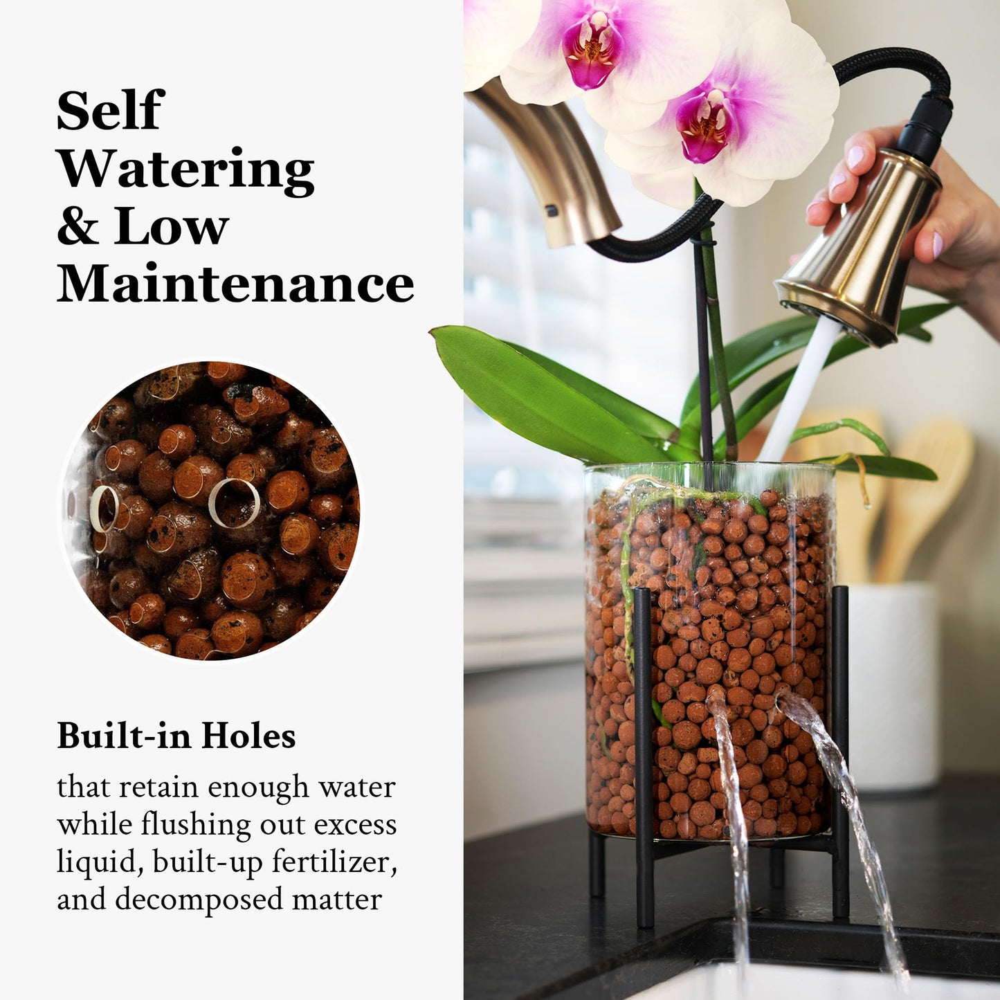 Pot & Pebble - C8 Glass Planter with Decorative Metal Base - Plant Propagation Station with Water Level Control - Plant Cutting Holder for LECA Clay Pebbles/Similar Media - Semi Hydroponic Planter