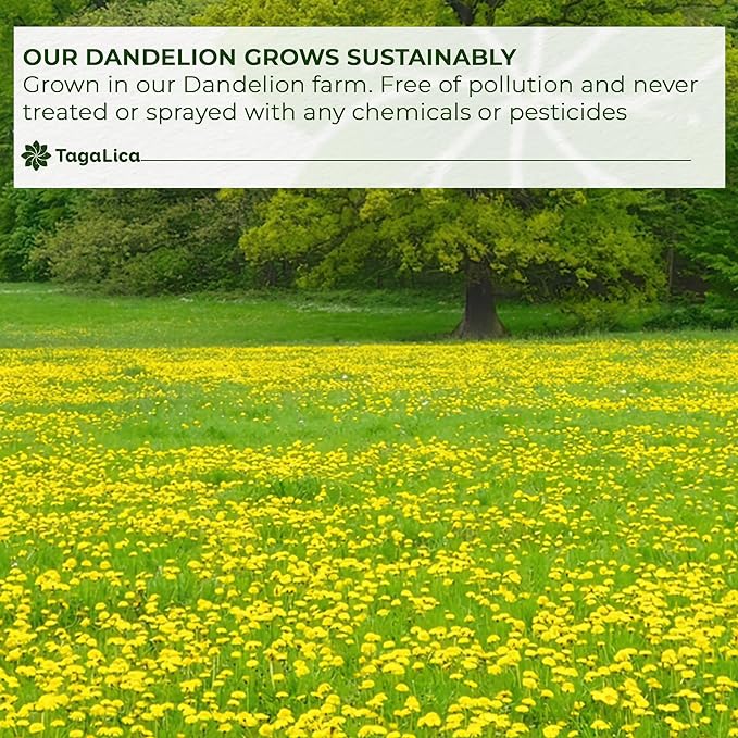 Tagalica Premium Dandelion Root Tea Bags - 25 Count, 100% Natural & Pure, Eco-Conscious, Herbal Tea, No Sugar, No Caffeine, No Gluten, Vegan