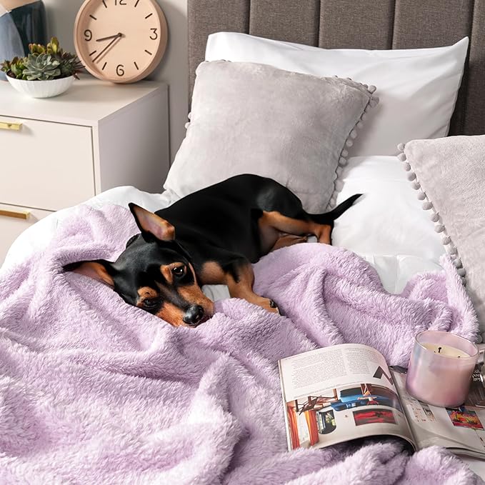 PAVILIA Sherpa Throw Blanket for Couch Sofa, Light Purple Lavender Fluffy Warm Plush Blanket for Twin Bed, Cozy Super Soft Lightweight Throw, Fuzzy Decorative Blanket, All Season Home, 60x80
