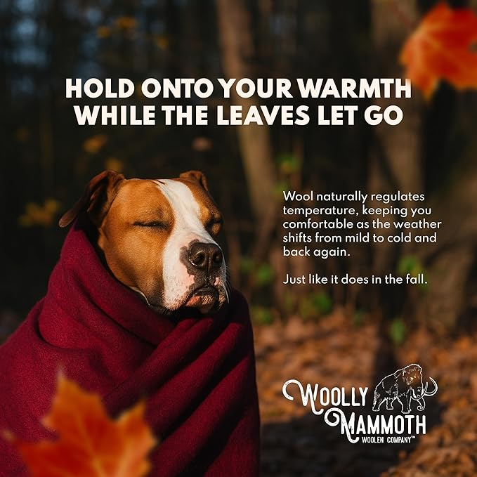 Woolly Mammoth Wool Blanket - Warm Thick 50% Wool Blanket - Machine-Washable Picnic, Travel & Winter Outdoor Throw, 85"x47" Grey