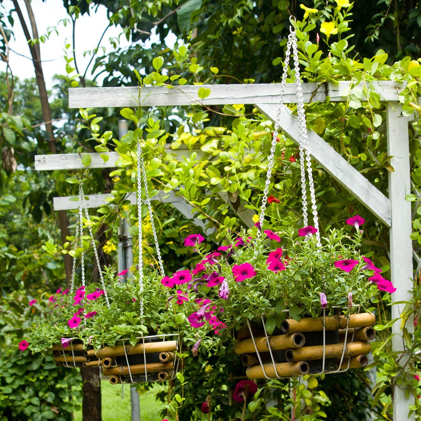 FEPITO 12 Pack Hanging Chains, 10 Inch Hanging Basket Chains, Garden Plant Hangers Metal Chains with Hooks Clips for Bird Feeders, Wind Chimes, Lanterns, Planters, Decorative Ornaments
