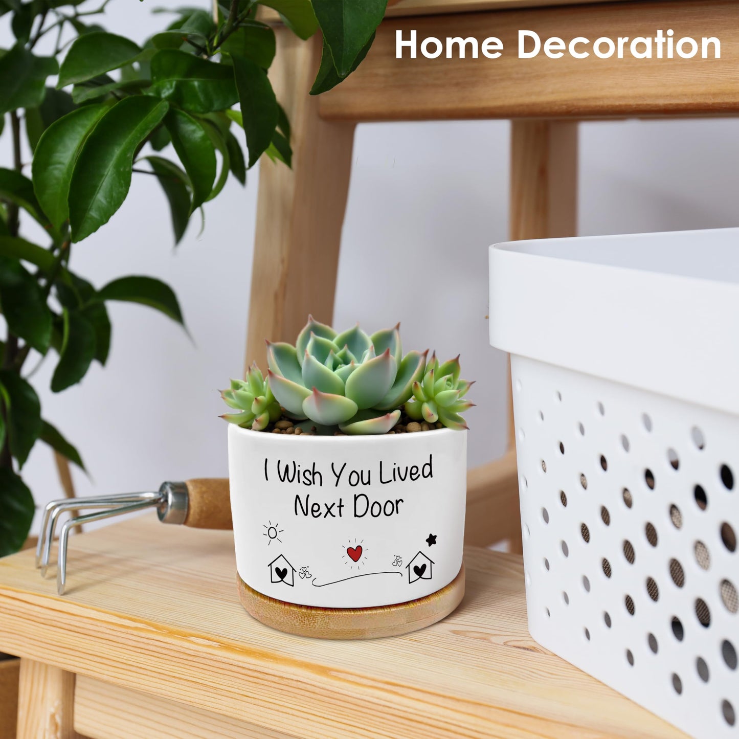 ROXMART I Wish You Lived Next Door Gifts Plant Pots, Friendship Gifts for Women Succulent Planters, Gift for Best Friend Ceramic Plant Flower Pots for Home Office Desk Table Shelf(No Plants)