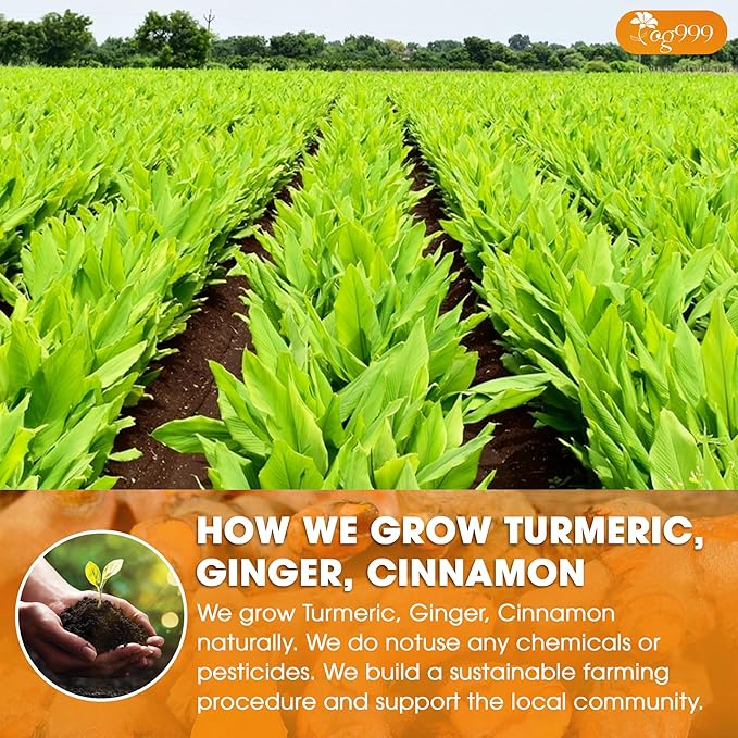 TOG999, Premium 20oz/330 cups Ginger Turmeric Cinnamon Loose Leaf Herbal Tea. Improve Digestion, Support Brain, Weight, Skin and Sleep. Premium Quality Spiced Blend. No Sugar, No Caffeine, No Gluten, Vegan.