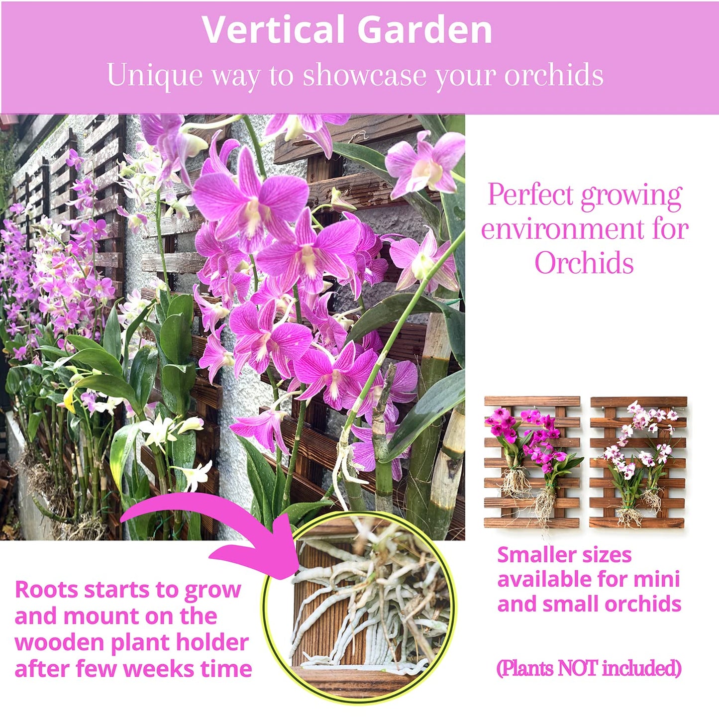 LalaGreen Bundle- 10 Pack, 4 Inch Black Self Watering Plant Pot + 2 Pack, 35.4 Inch Wooden Plant Holder Modern Indoor Hanging Wall Mount Vertical Hydroponic Garden Display Large Home Air Plant Decor