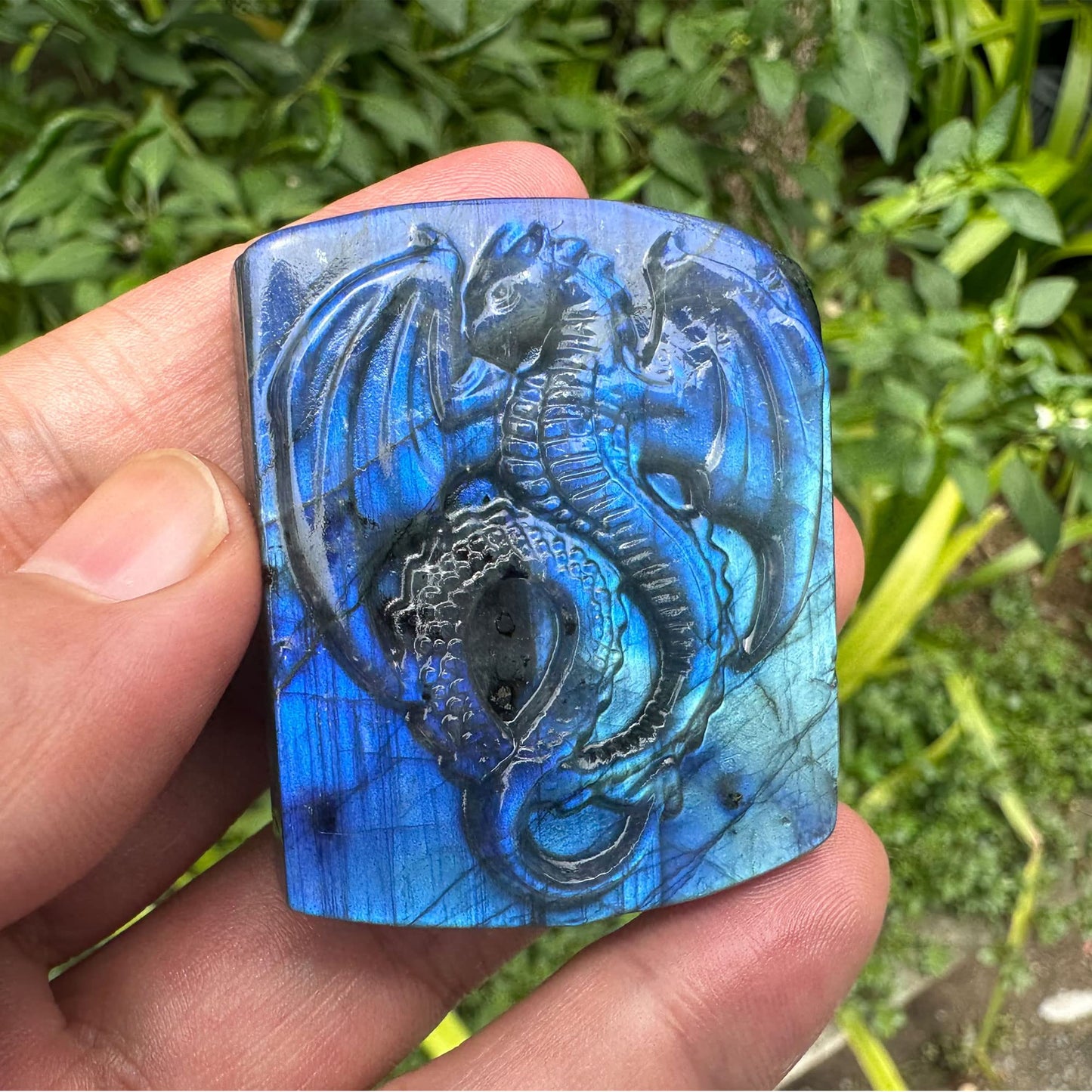 TEAMWILL Natural Labradorite Crystal Quartz Hand Carved Fly Dragon Reiki Healing Crystal Gorgeous Art Sculpture Stone Statue Figurine Minerals Gifts