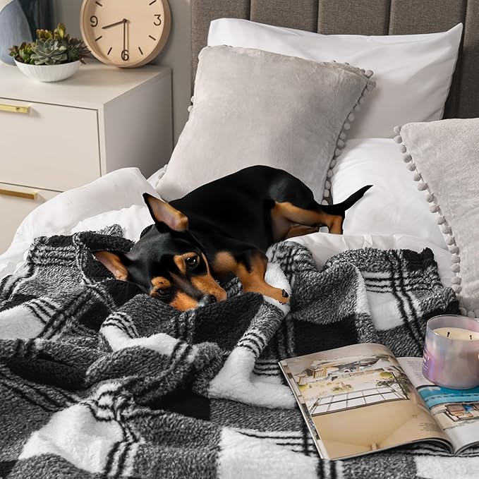 PAVILIA Sherpa Throw Blanket for Couch Sofa, White Black Fluffy Warm Plush Blanket for Twin Bed, Cozy Super Soft Lightweight Throw, Fuzzy Decorative Blanket, All Season Home, 60x80