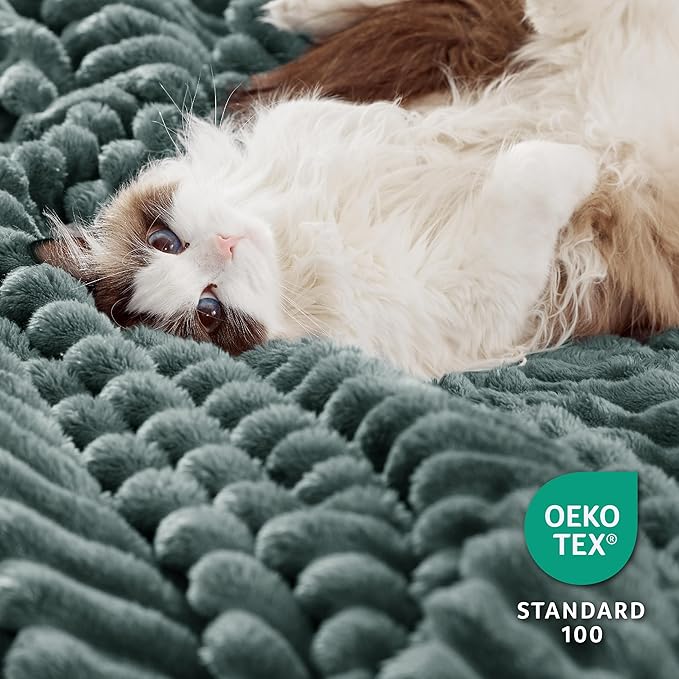 Bedsure Sherpa Blanket Queen Size for Bed - Super Soft, Cozy Fleece Thick Warm Blanket for Winter, GentleSoft Home Room Decor, Dark Green, 90x90 Inches