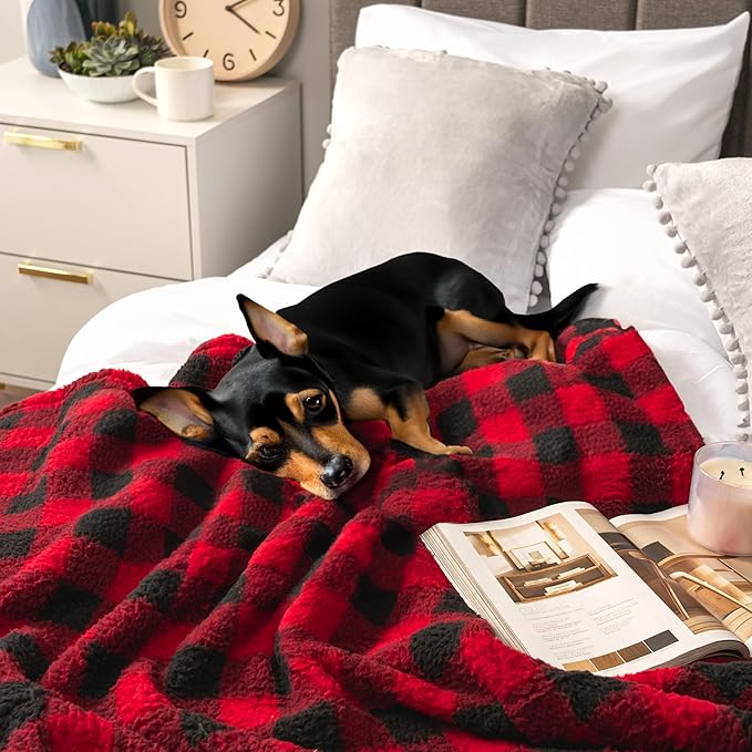 PAVILIA Sherpa Throw Blanket for Couch Sofa, Black Red Checkered Fluffy Warm Plush Blanket for Twin Bed, Cozy Super Soft Lightweight Throw, Fuzzy Decorative Blanket, All Season Home, 60x80