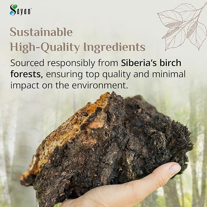 Sayan Siberian Chaga Mushroom Tea 1.05 Oz / 30g – 20 Unbleached Bags, Wild Harvested Organic Antioxidant No Caffeine. Raw and Extract Blend. Immune, Digestion Support. Detox, Focus Energy Boost