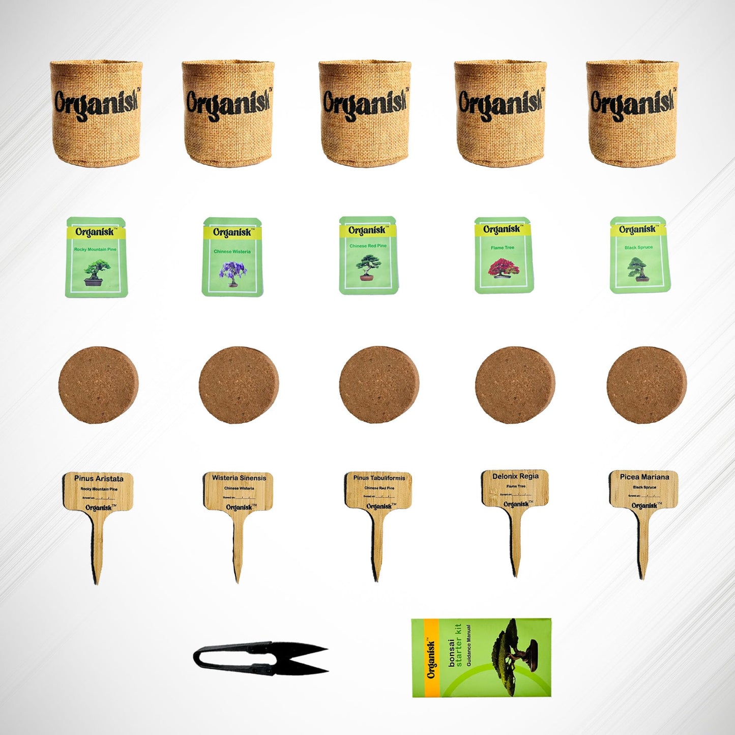 Bonsai Starter Kit - 5 Unique Tree Types, Special DIY Garden Hobby Kits - Great for Plant Lovers, for Kids, Men, Women, and Bonsai Enthusiasts