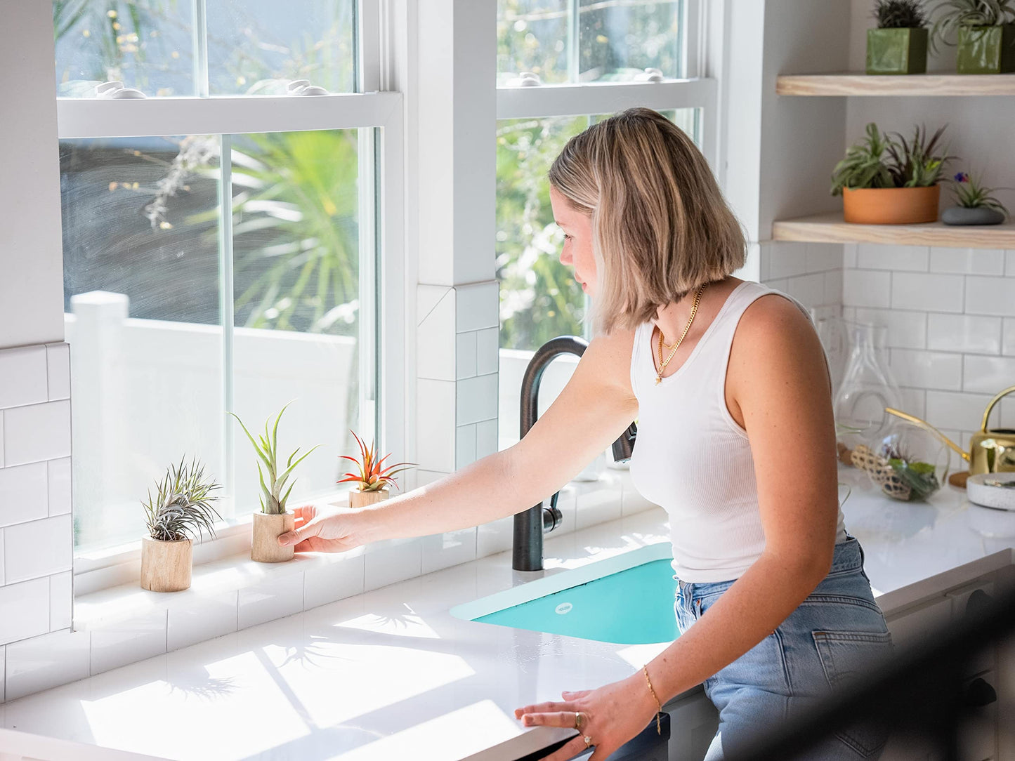 Air Plant Shop Hanging Light Bulb Terrarium with Crushed White Stones and Tillandsia Air Plant -Wholesale and Bulk- Succulents- Live Tillandsia - Easy Care Indoor and Outdoor House Plants (Pack of 1)