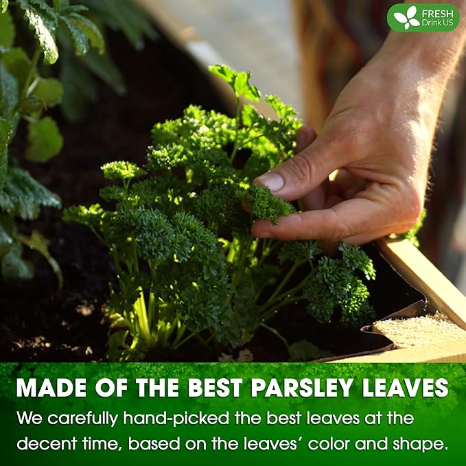 FreshDrinkUS, Premium 75 Parsley Leaf Tea Bags, 100% Natural & Pure from Parsley Leaves. Loose Leaf Parsley Herbal Tea. Made with Natural Material Tea Bags. No Sugar, No Caffeine, No Gluten, Vegan.