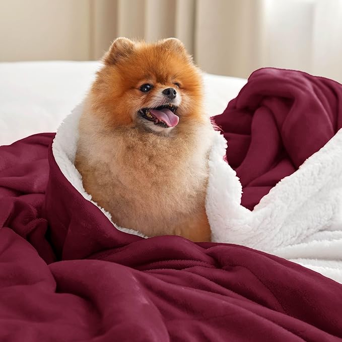 Bedsure GentleSoft Sherpa Fleece Throw Blanket Twin Size for Couch - Thick and Warm, Soft Fuzzy Plush Twin Christmas Blanket for Winter, Burgundy, 60x80 Inches