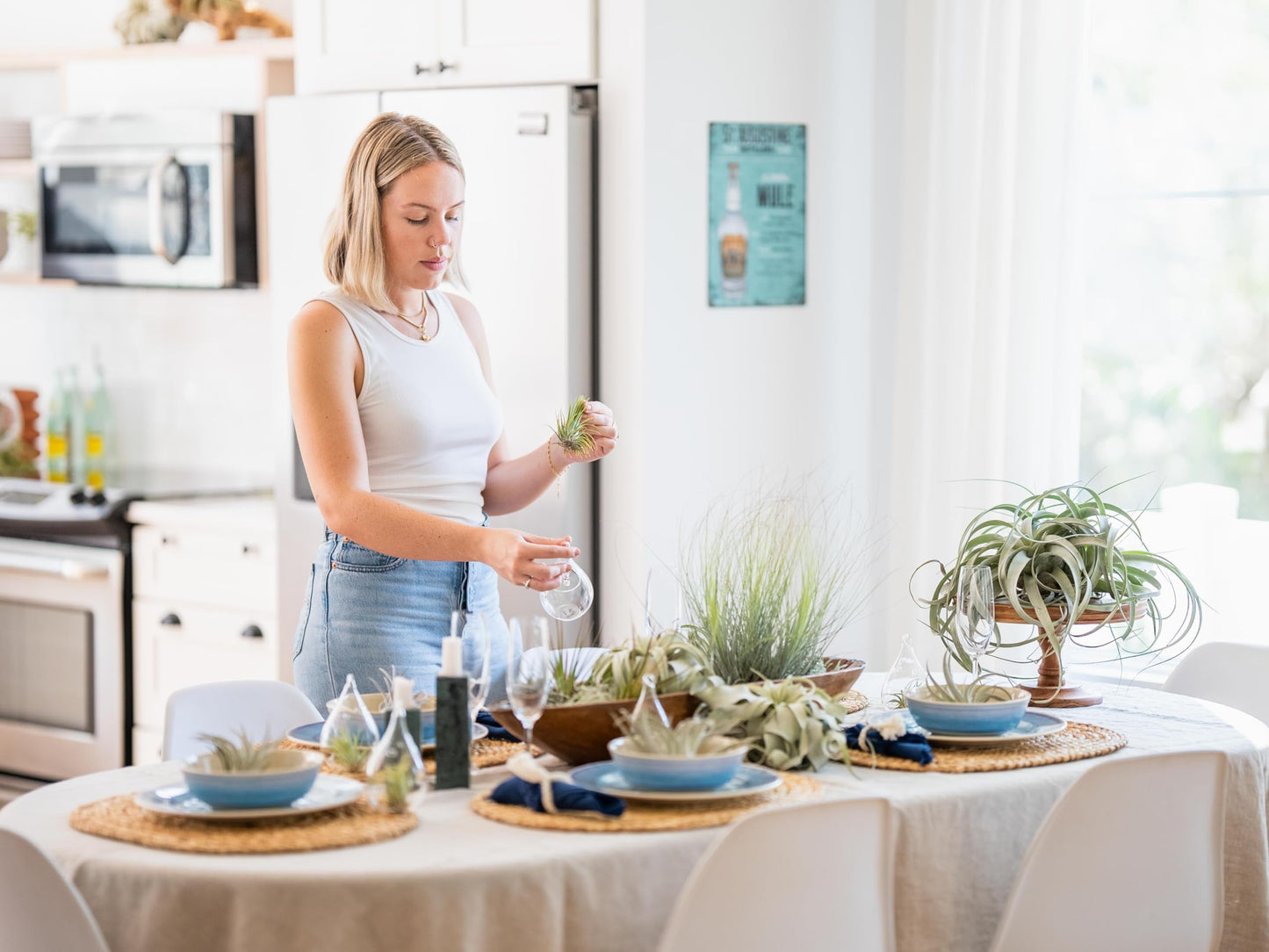 Air Plant Shop 5 Pack Tough Stuff Collection of Tillandsia Air Plants- Wholesale and Bulk - Succulents - Live Tillandsia - Easy Care Indoor and Outdoor House Plants