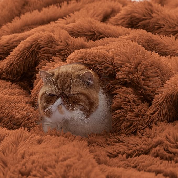 Bedsure GentleSoft Fuzzy Sherpa Faux Fur Twin Blanket Burnt Orange Cozy Gifts for Women Men, Soft Fleece Plush Warm Thick Blanket Twin Size for Bed, Room Dorm Essentials Orange Decor Gifts, 60x80