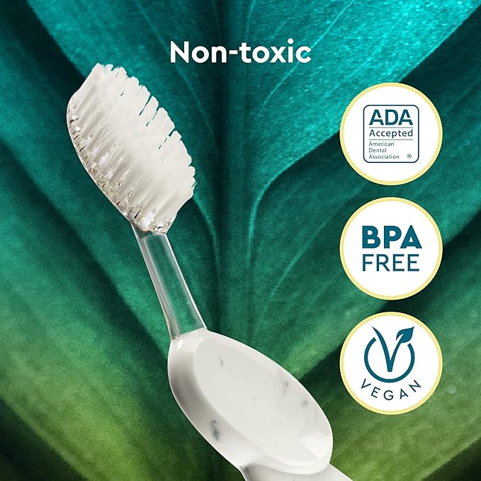 RADIUS Big Brush with Replaceable Head BPA Free & ADA Accepted Toothbrush Designed to Improve Gum Health & Reduce Gum Issues - Right Hand - Gold - Pack of 1
