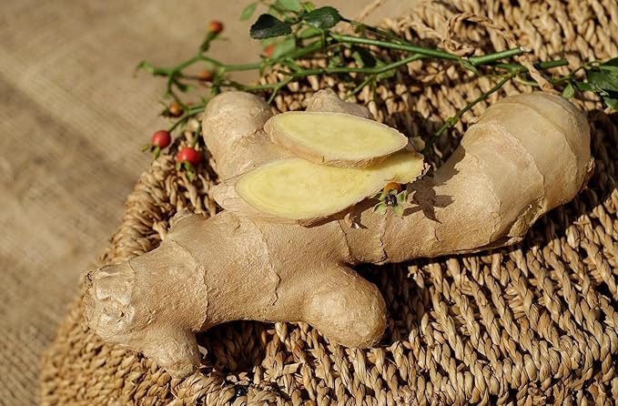 Ginger Tea Bags, 100% Pure Dry Ginger Root, 4.2gx40Count, Re-usable for Brew, Spicy Digestive Ease, Immune System Support Anytime, Eco-Conscious Tea Bags, Resealable Bag