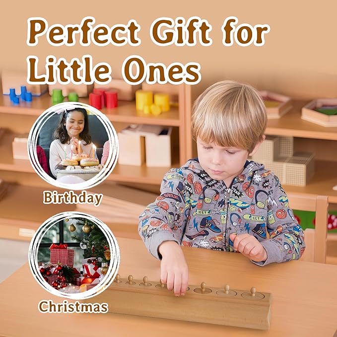 MONTESSORI OUTLET Cylinder Block (Part 3) for Children Aged 3-6 Montessori Education at School and Home