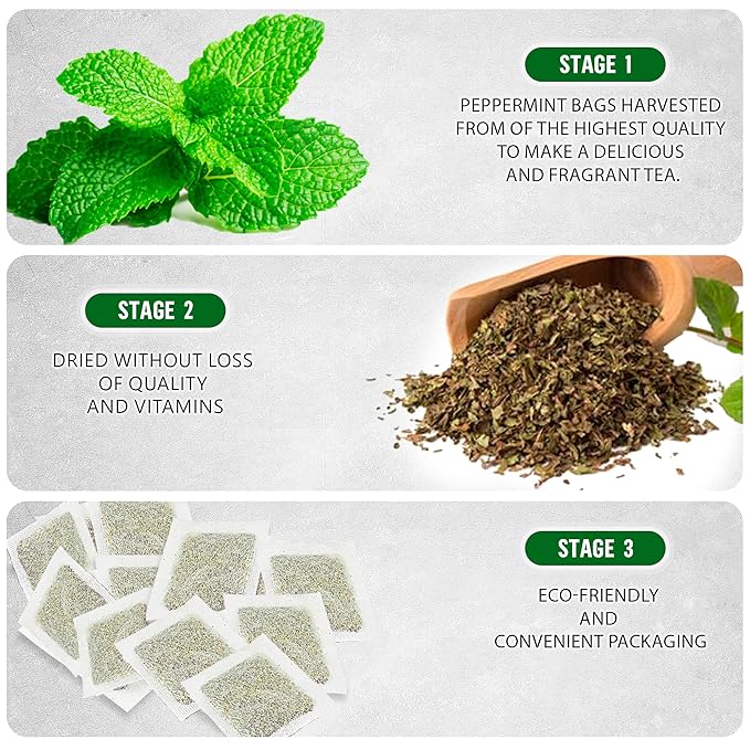 TeaDreamTea Peppermint Tea Bags - Alleviates Digestive Discomfort | Herbal Tea - Healthy Tea | Aromatic & Caffeine Free Tea - Bulk Tea Bags (50 Teabags)