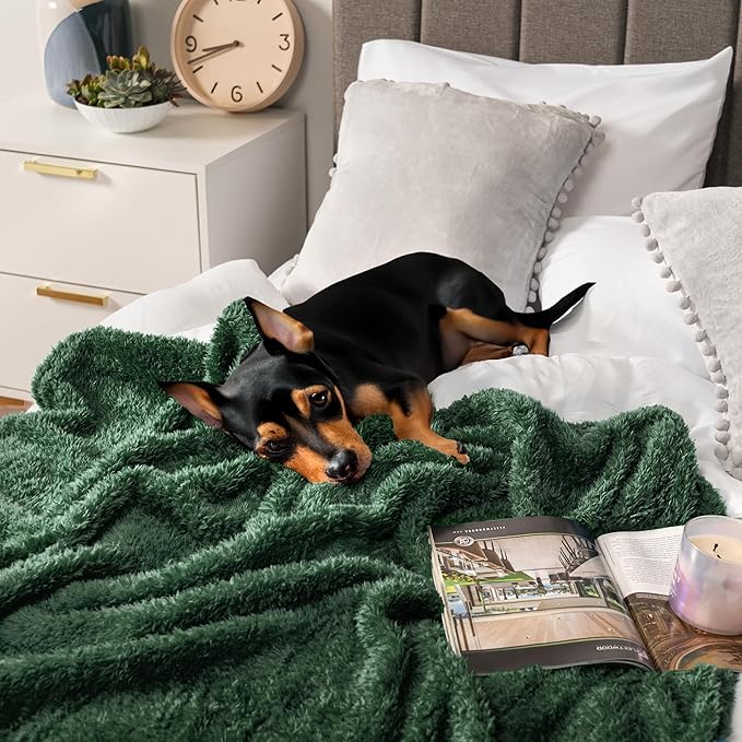PAVILIA Sherpa Throw Blanket for Couch Sofa, Emerald Green Fluffy Warm Plush Blanket for Twin Bed, Cozy Super Soft Lightweight Throw, Fuzzy Decorative Blanket, All Season Home, 60x80
