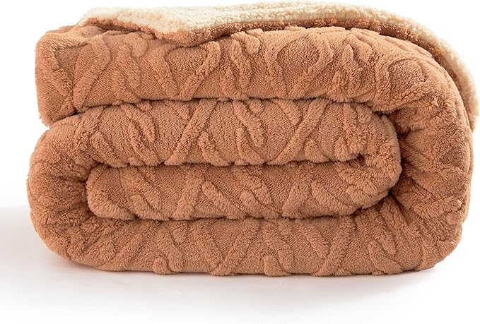 Bedsure Sherpa Queen Size Blanket for Bed - GentleSoft Fleece Fluffy & Cozy Cable Jacquard Tufted for Women Gift, Thick and Warm Blankets for Winter, Light Brown, 90x90 Inches