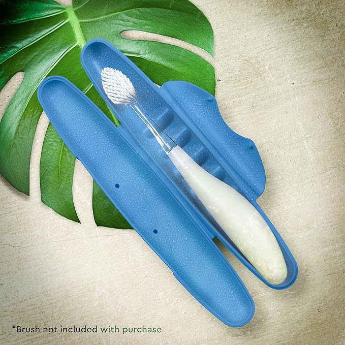 RADIUS Toothbrush Travel Case for Standard Brush, BPA-Free Recycled Plastic, Portable for Bathroom, School, Home, Camping - Light Blue (FITS All Conventional Toothbrush and RADIUS Source Toothbrush)