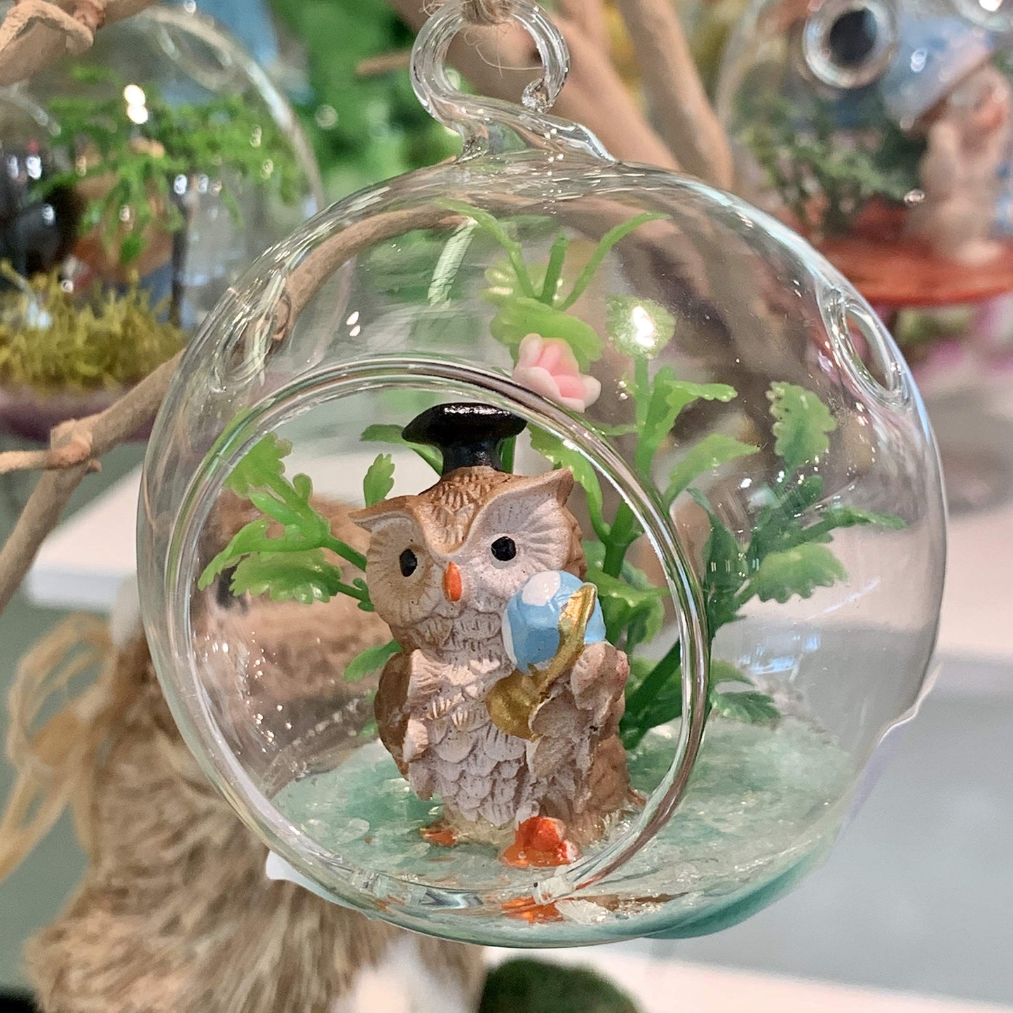 WGV Hanging Terrarium Globe, Width 3", Height 4", DIY Air Succulent Planter, Clear Glass Vase Orb with Flat Bottom, Candle Holder for Windowsill Outdoor Garden Decor, 6 Pieces Bulk